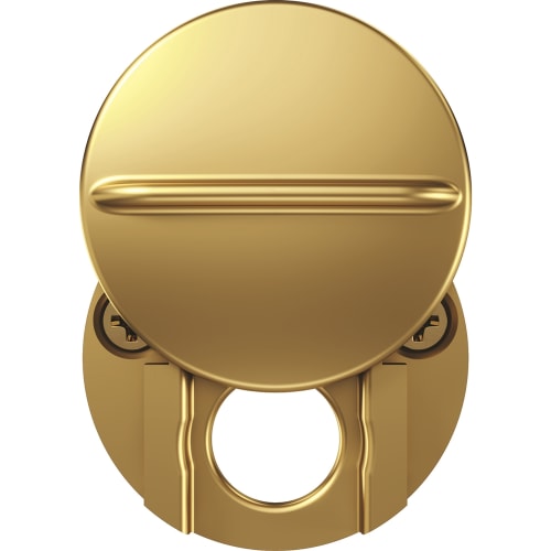 Speyeguard® Fixed Peephole Cover, Satin Brass, Metal Plated Finish